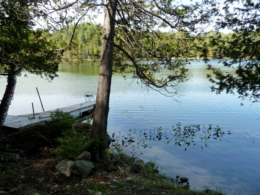 This image has an empty alt attribute; its file name is m-2.jpg