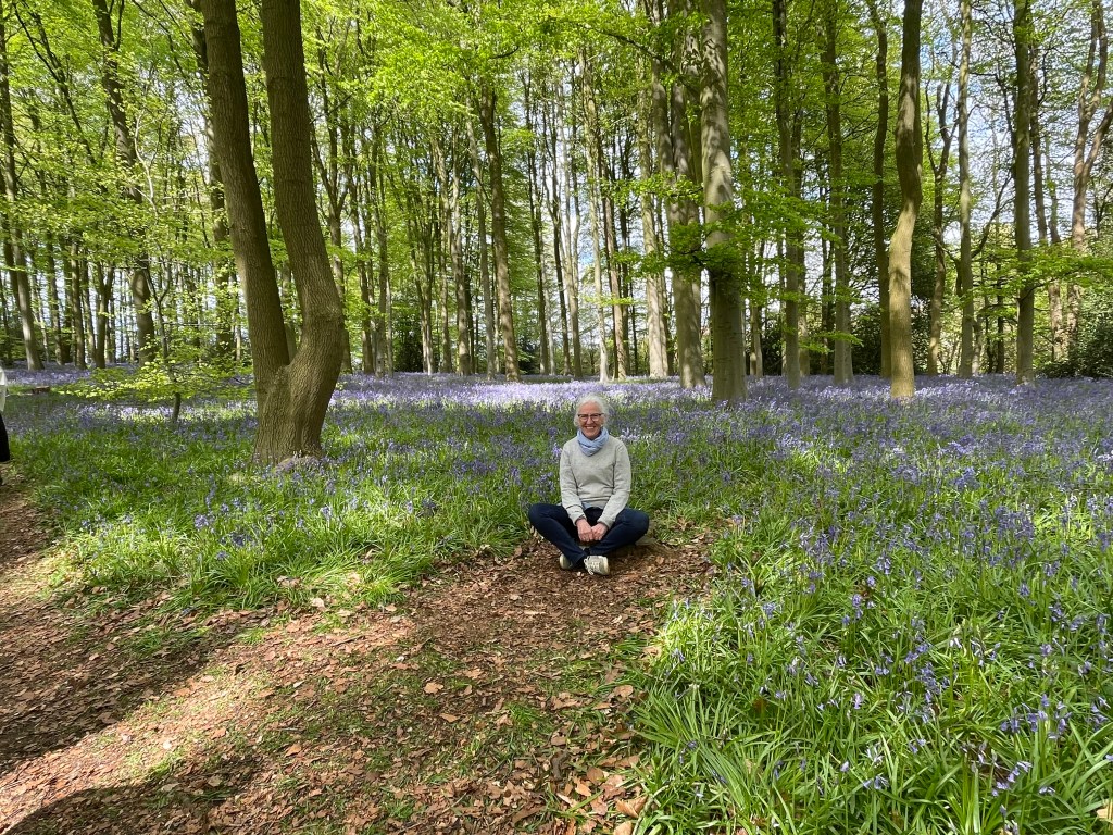 Bluebell woods at Coton Manor, Northamptonshire

